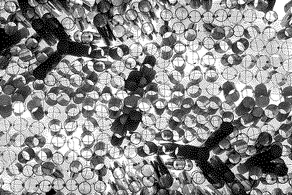 Sortilège, rue et vous